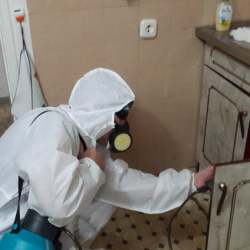Дезинфекция от муравьев в квартире в Николо-Урюпино