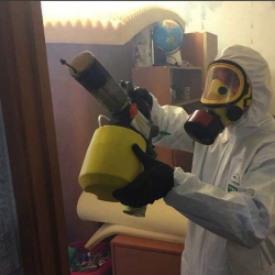 Уничтожение клопов в квартире. Николо-Урюпино